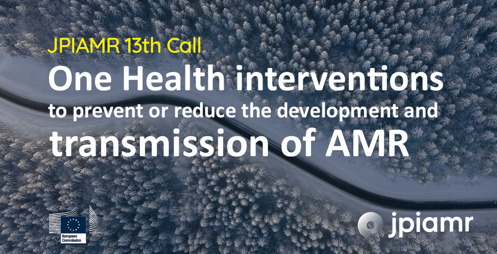 One Health interventions to prevent or reduce the development and transmission of AMR